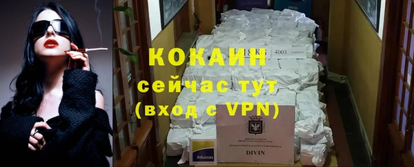 хмурый Алексин