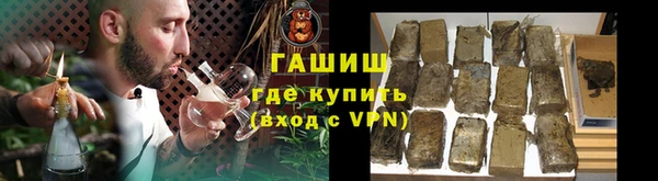хмурый Алексин