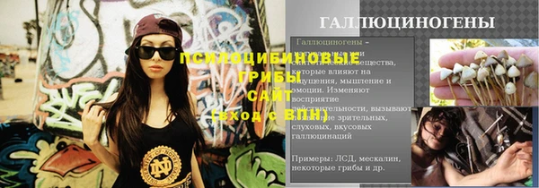 МДПВ Аркадак