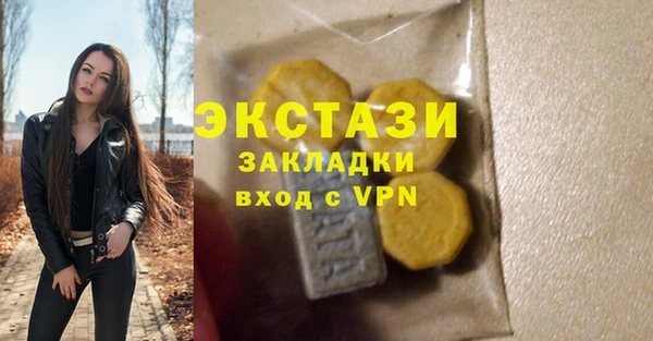 хмурый Алексин